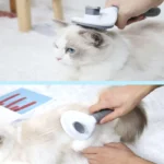 Cat Brush for Shedding and Grooming-Easy Removal of Loose Hair